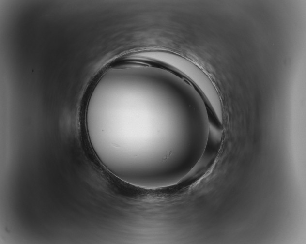 X0000089440248200706151419