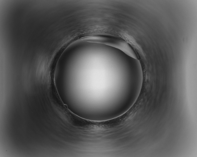 X0000089440250200706151419