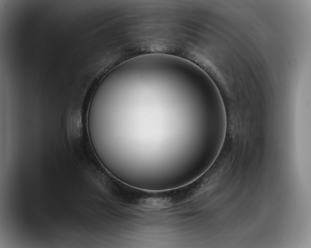 X0000089440251200706151419