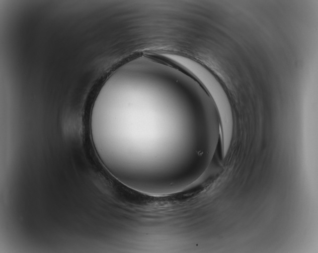 X0000089440252200706151419