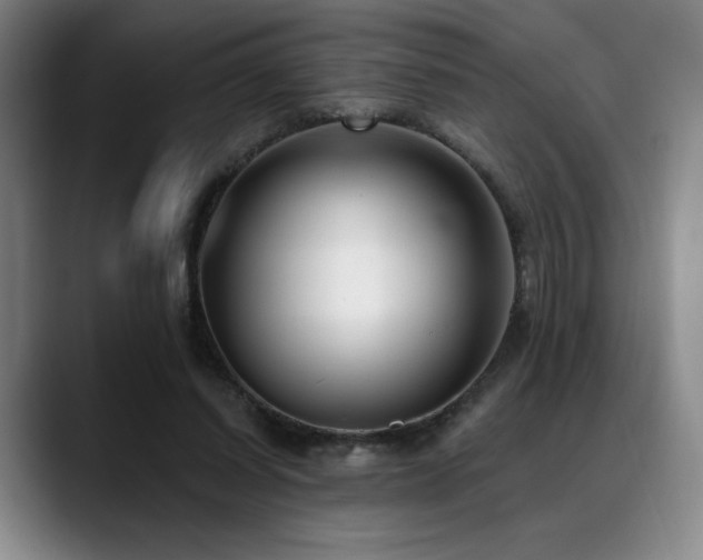 X0000089440254200706151419