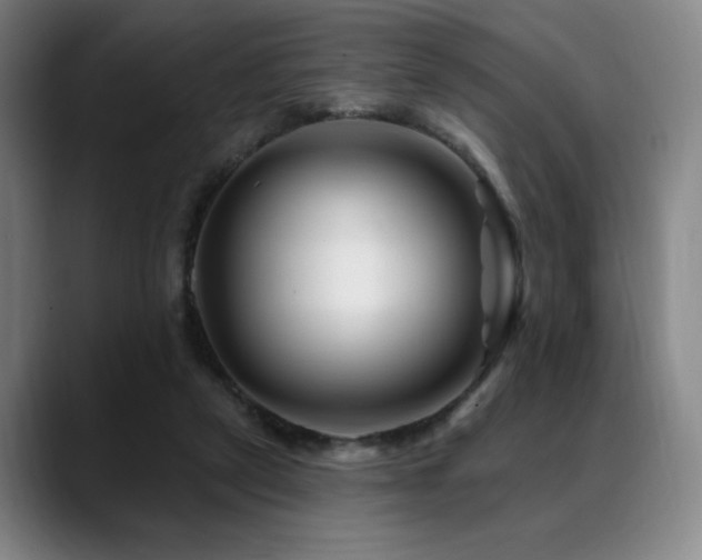 X0000089440257200706151419