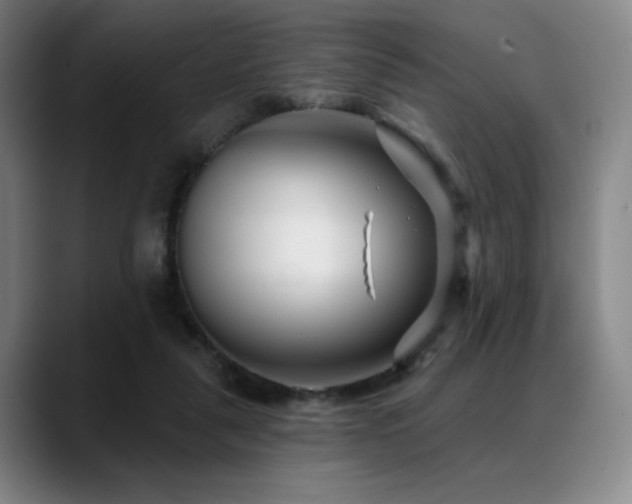 X0000089440259200706151419