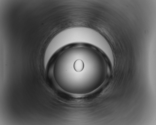 X0000089440260200706151419