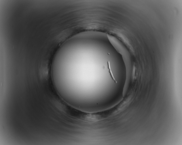 X0000089440261200706151419