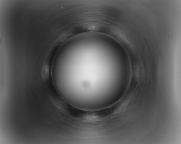 X0000089440262200706151419