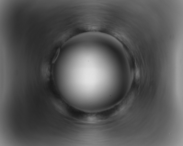 X0000089440264200706151419