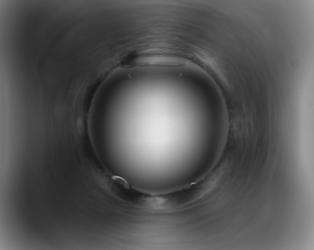 X0000089440265200706151419