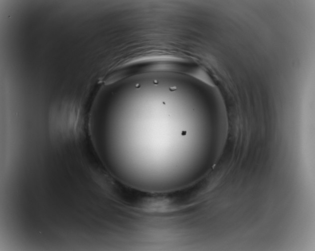 X0000089440266200706151419