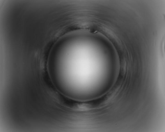 X0000089440268200706151419