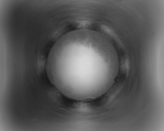 X0000089440276200706151419