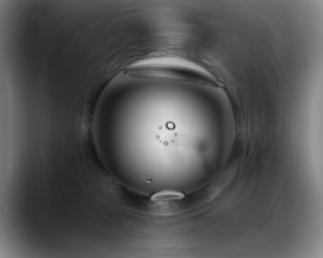 X0000089440277200706151419