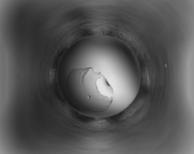 X0000089440278200706151419