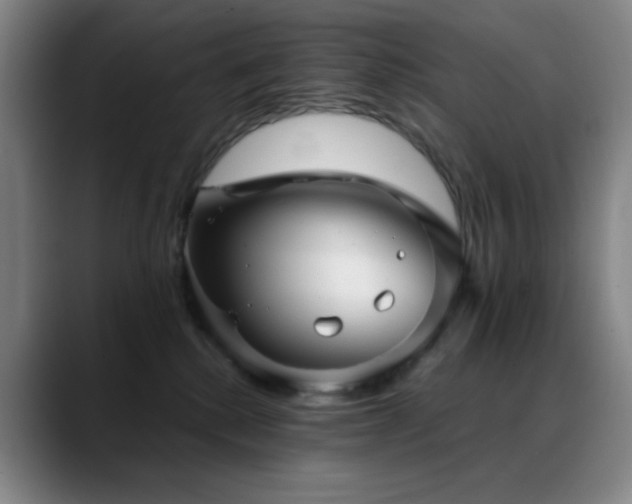 X0000089440280200706151419