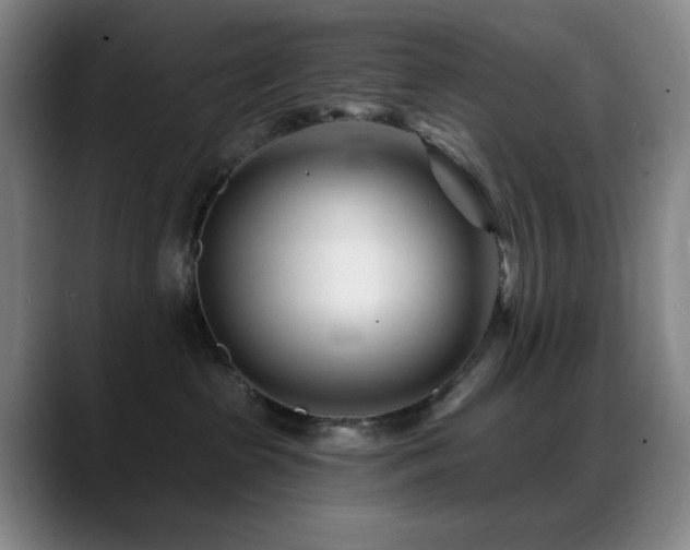 X0000089440285200706151419