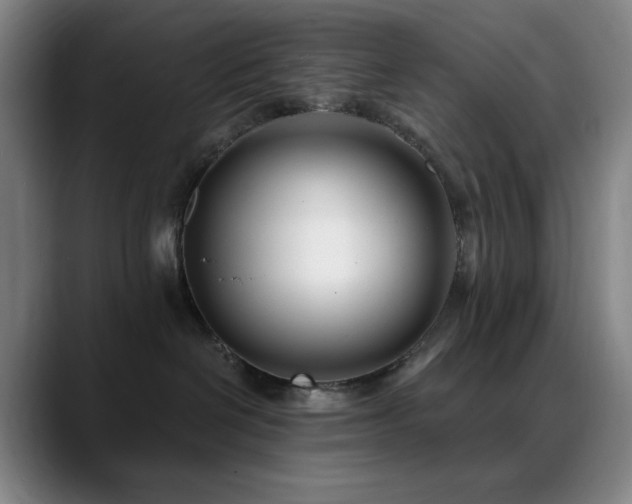 X0000089440286200706151419