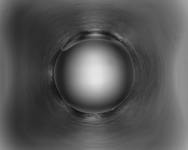 X0000089440288200706151419