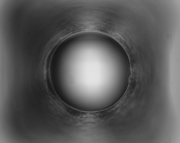 X0000089440290200706151419