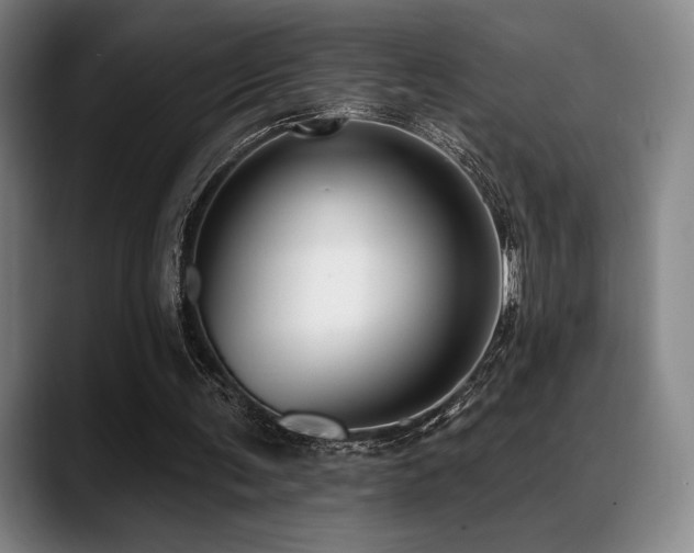 X0000089440291200706151418