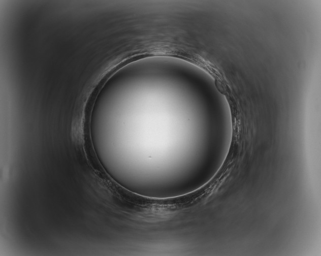 X0000089440292200706151418