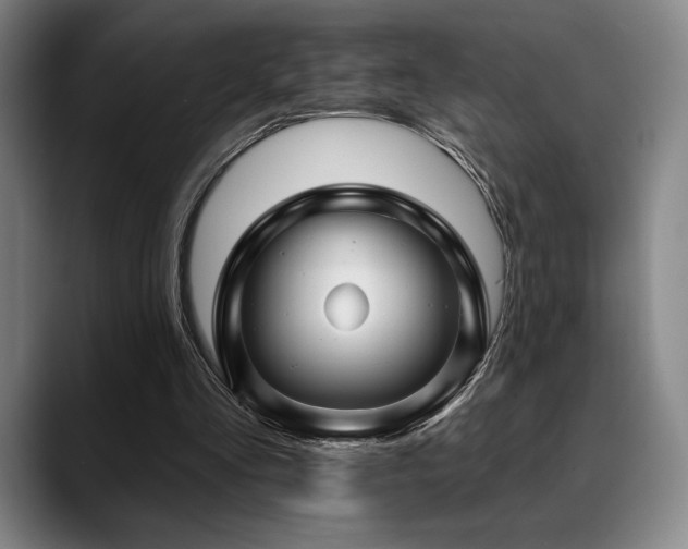 X0000089440293200706151418