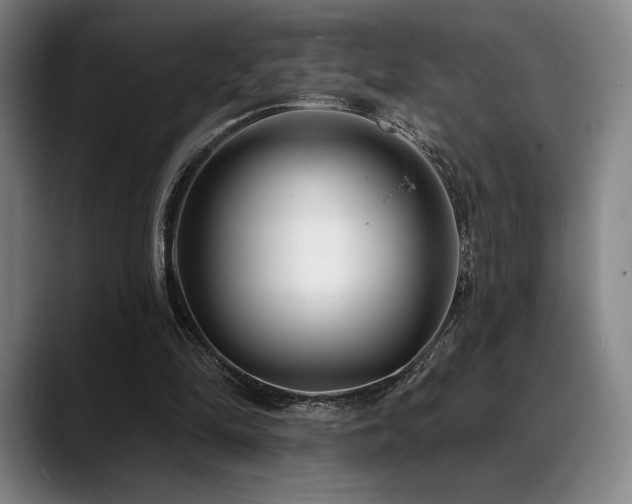 X0000089440294200706151418