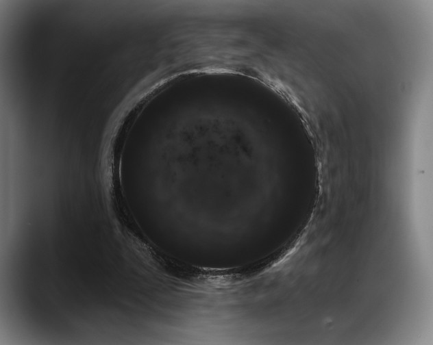 X0000089440295200706151418