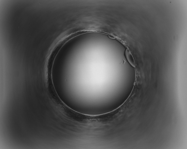 X0000089440296200706151418