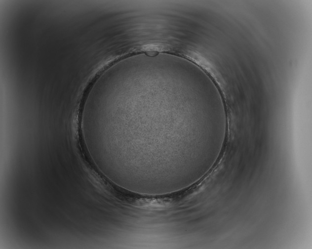 X0000089440297200706151418