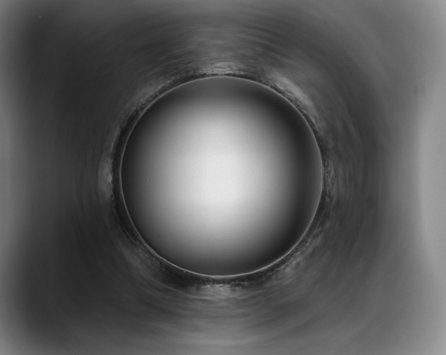 X0000089440298200706151418