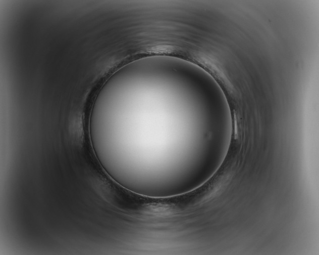 X0000089440300200706151418