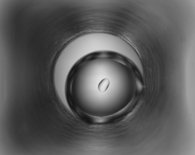 X0000089440301200706151418