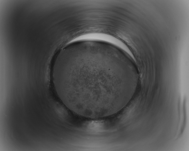 X0000089440303200706151418