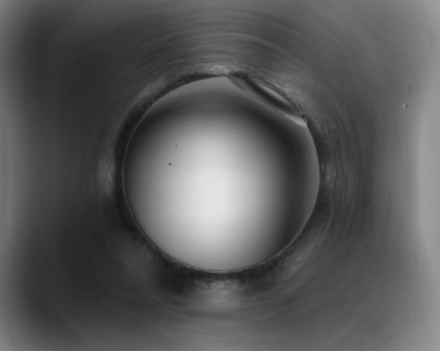 X0000089440304200706151418
