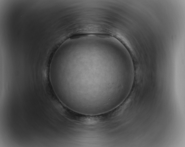 X0000089440305200706151418