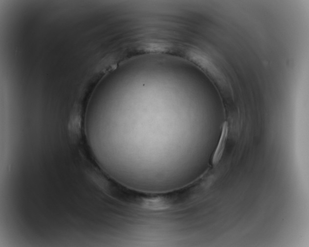 X0000089440309200706151418