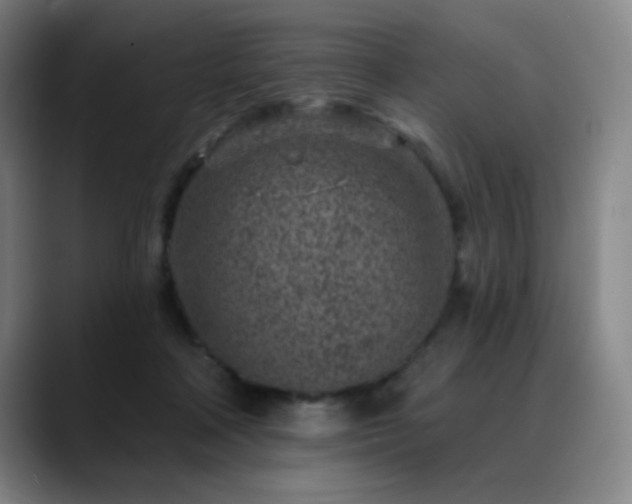 X0000089440314200706151418
