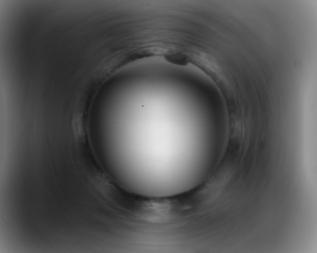 X0000089440317200706151418