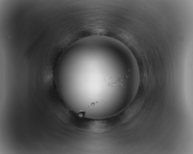 X0000089440320200706151418