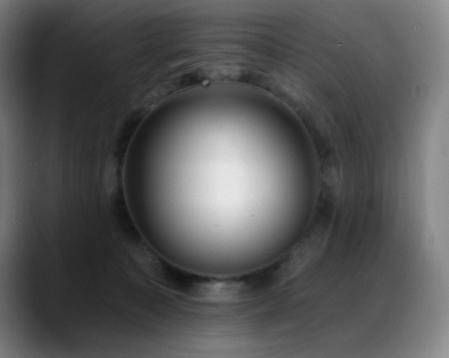 X0000089440323200706151418