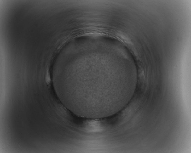 X0000089440325200706151418