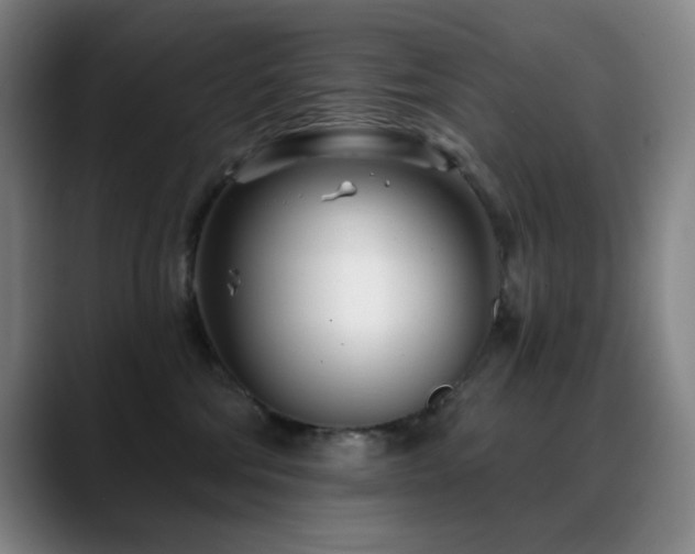 X0000089440330200706151418