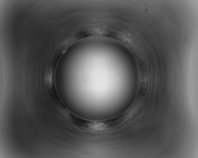 X0000089440334200706151418