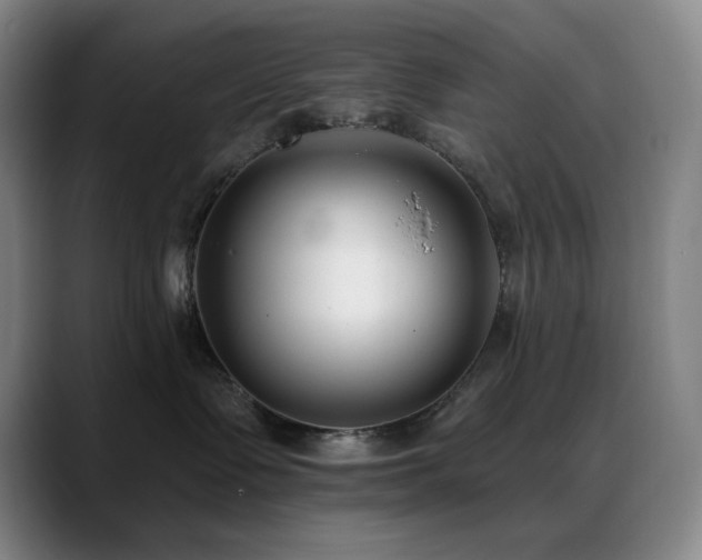 X0000089440335200706151418