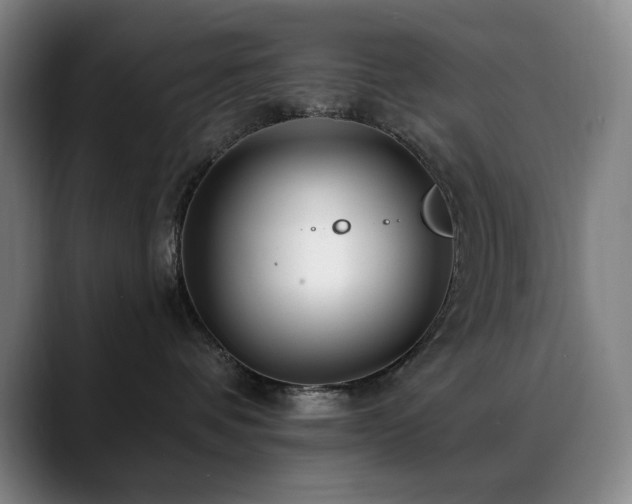 X0000089440336200706151418