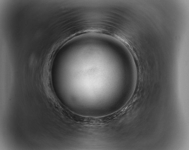 X0000089440337200706151417