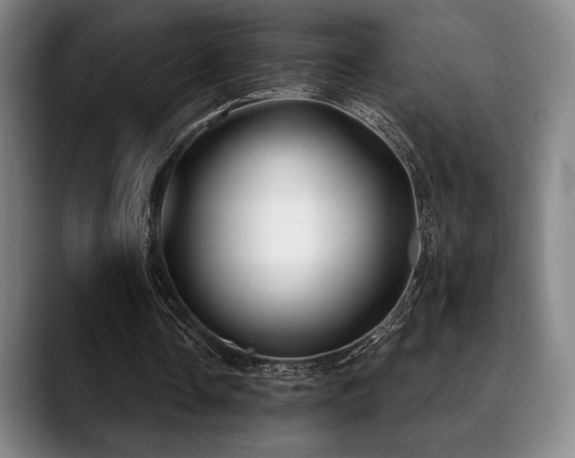 X0000089440338200706151417