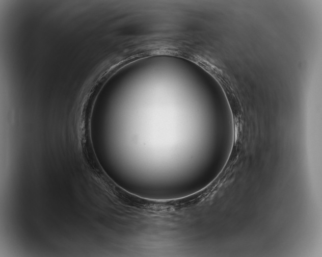 X0000089440339200706151417
