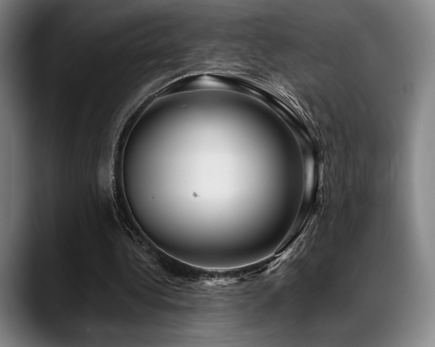 X0000089440340200706151417