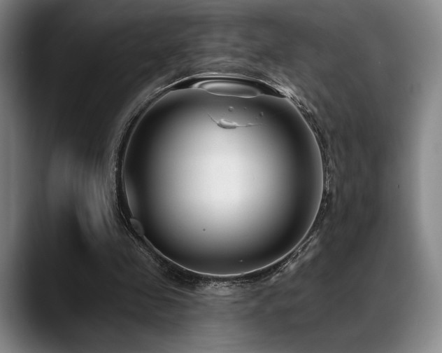 X0000089440341200706151417
